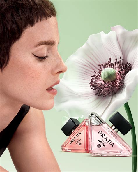 prada paradoxe flower lab